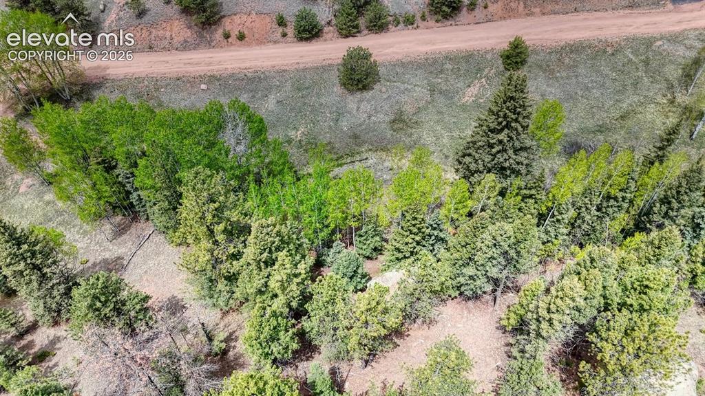42 Rabbit Circle Florissant CO 80816