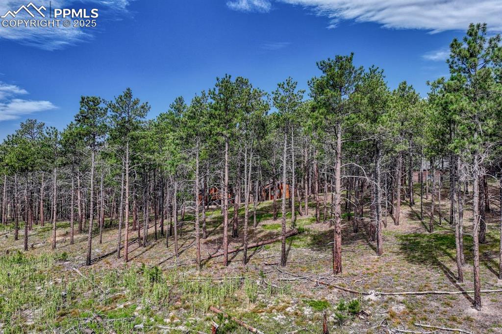 02 Wyandott Drive Colorado Springs CO 80908