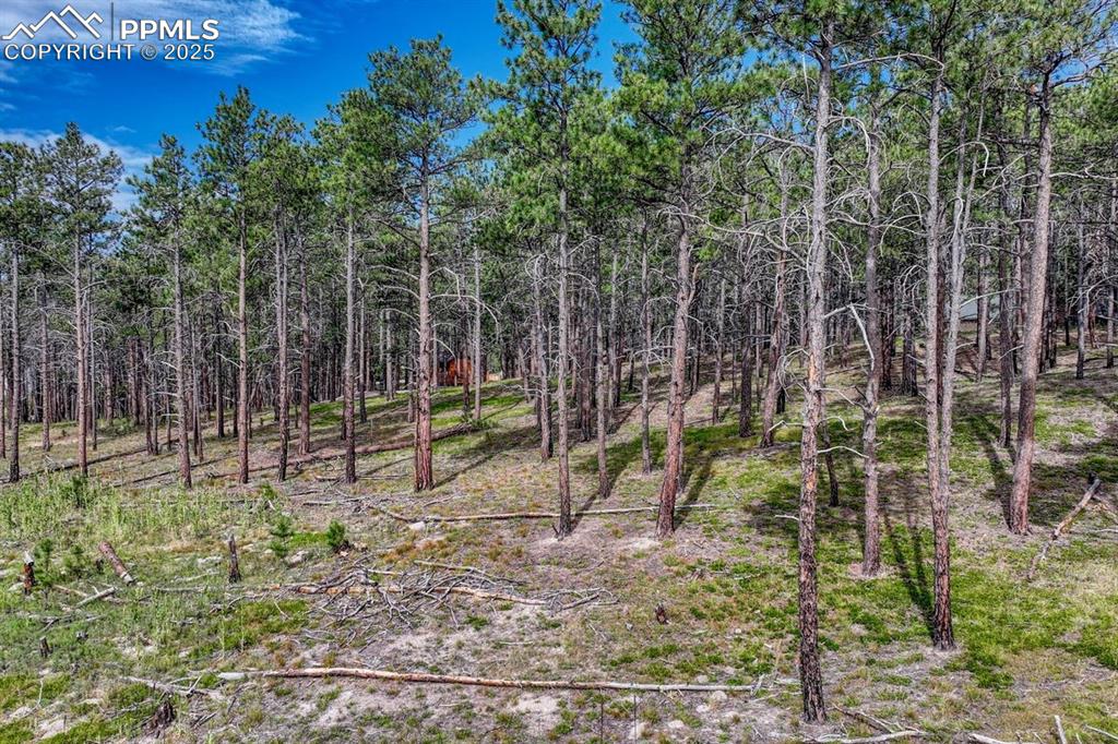 02 Wyandott Drive Colorado Springs CO 80908