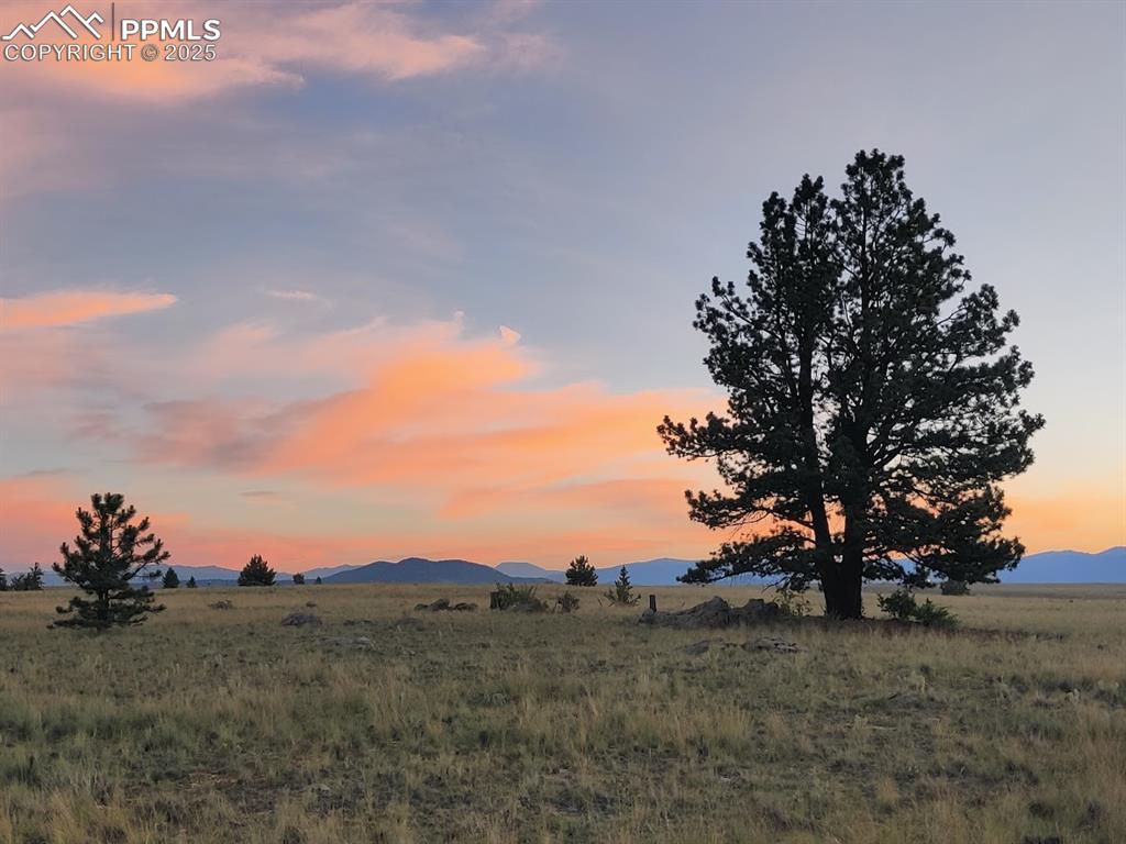 614 Yellowstone Road Hartsel CO 80449