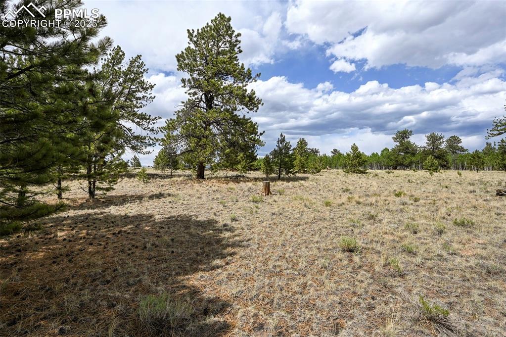 614 Yellowstone Road Hartsel CO 80449