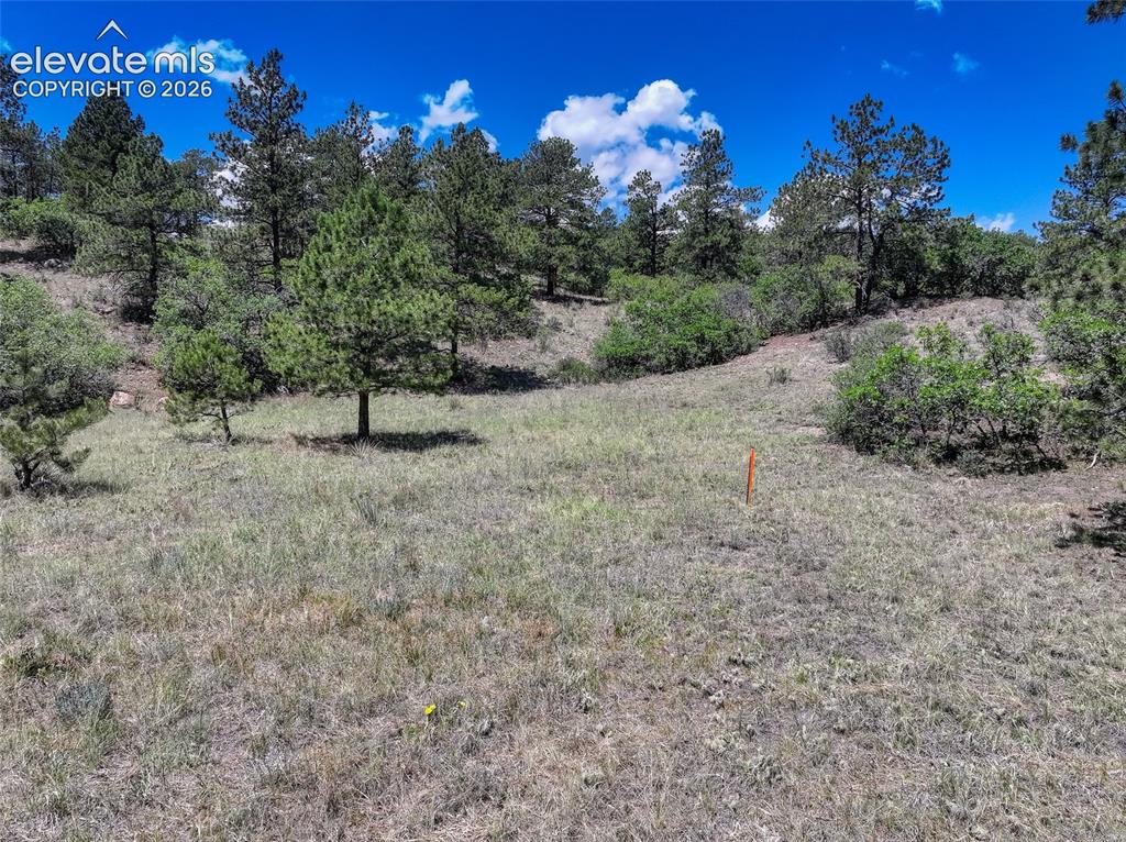 235 Dusty Hills Court Colorado Springs CO 80919