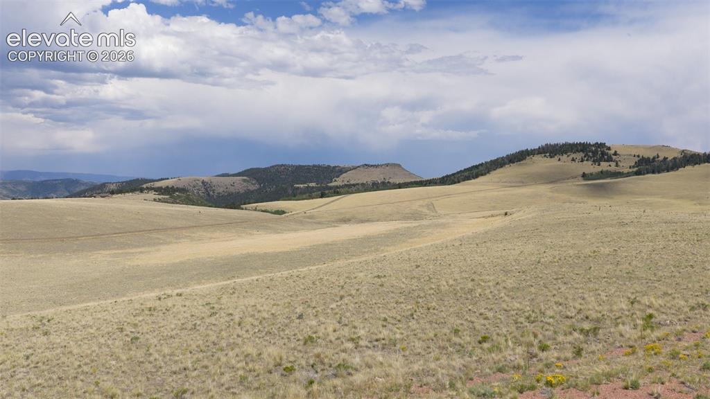 234 Cimarron Canon City CO 81212