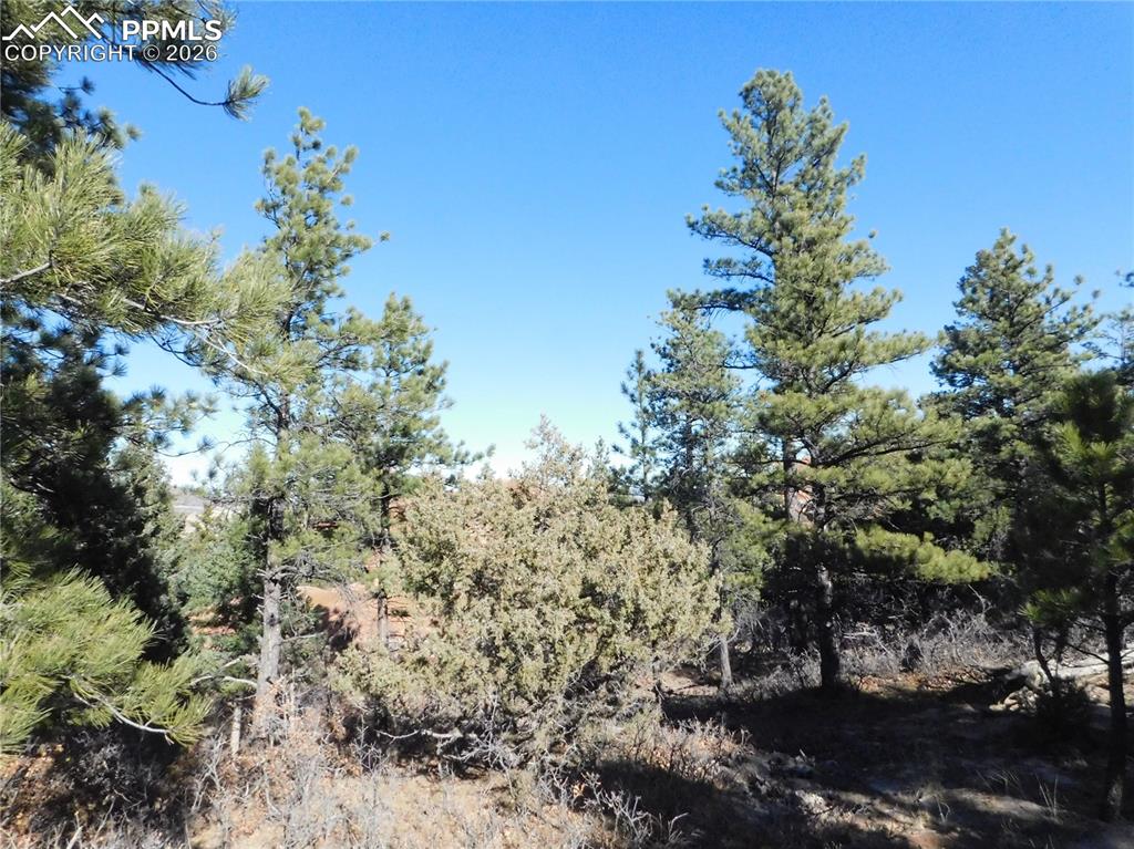 6294 Troon Court Larkspur CO 80118