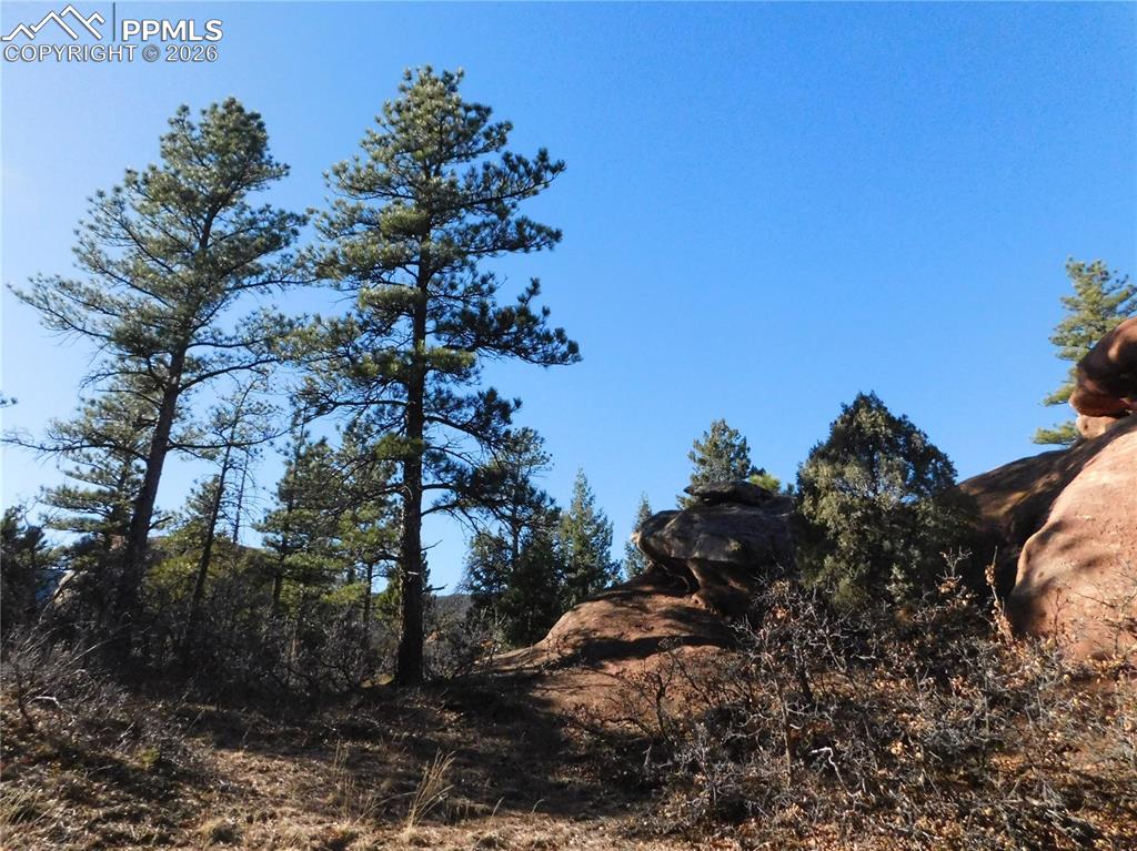 6294 Troon Court Larkspur CO 80118