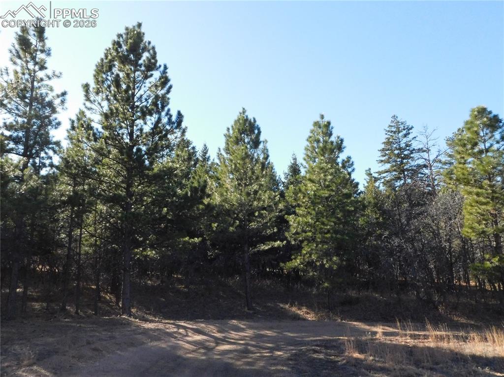 6294 Troon Court Larkspur CO 80118