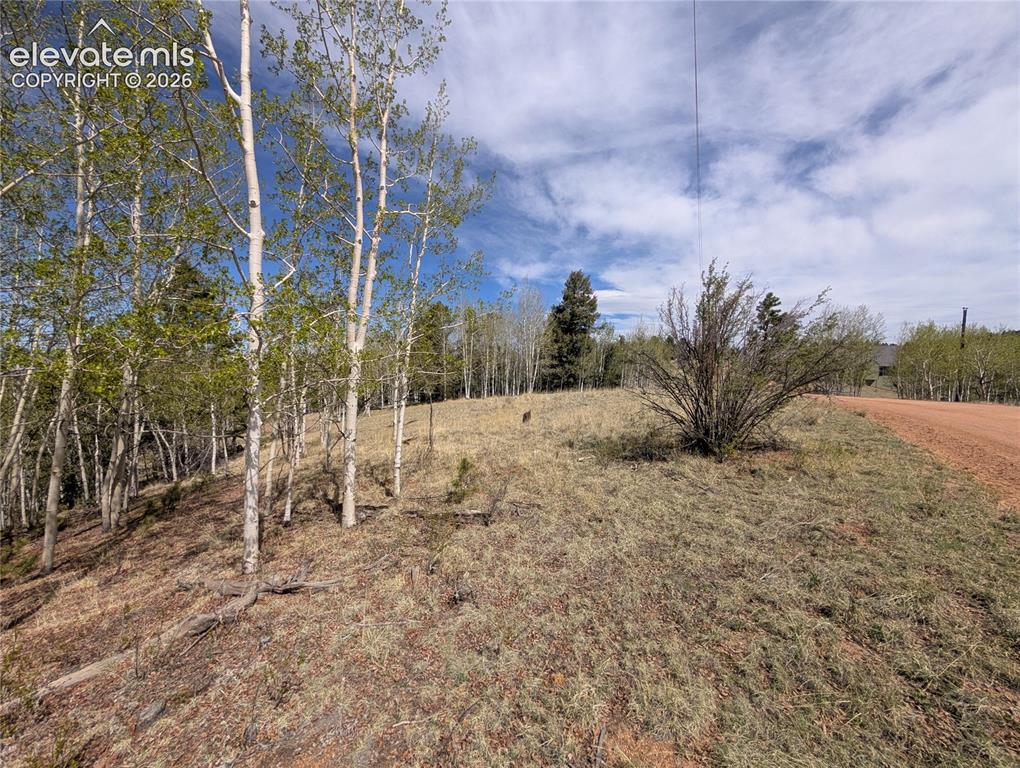 905 May Queen Drive Cripple Creek CO 80813