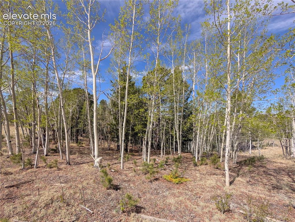 905 May Queen Drive Cripple Creek CO 80813