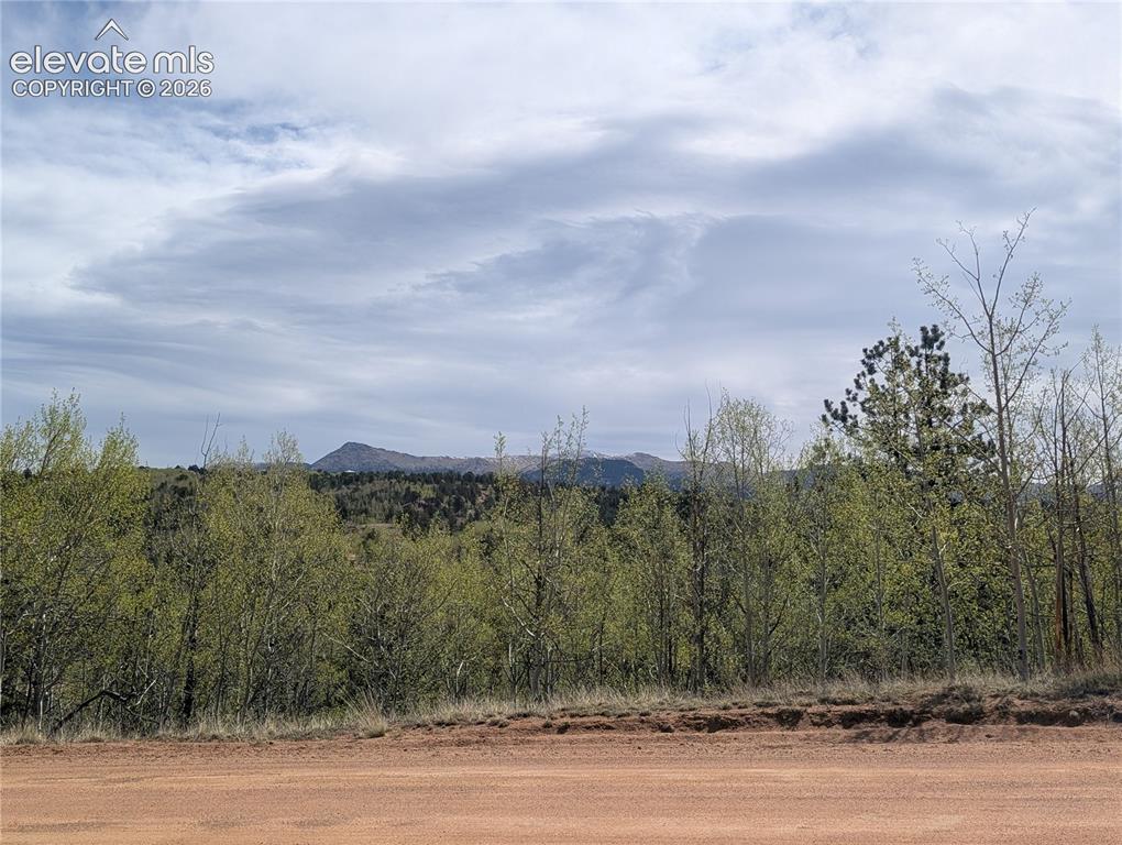 905 May Queen Drive Cripple Creek CO 80813