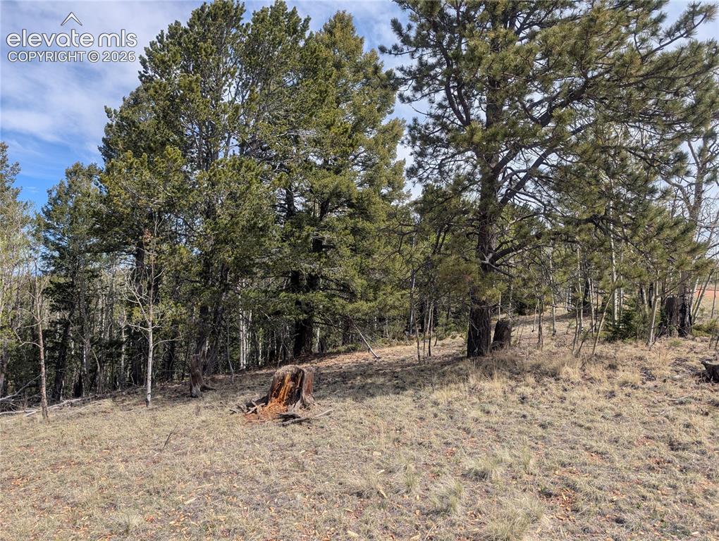 905 May Queen Drive Cripple Creek CO 80813