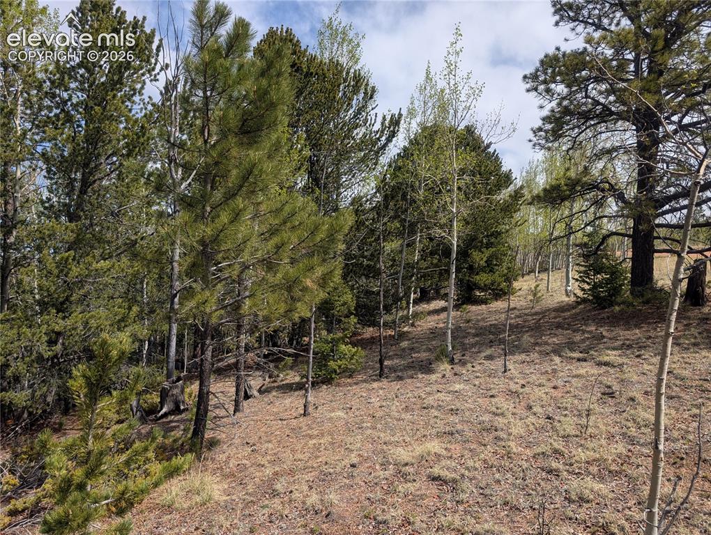 905 May Queen Drive Cripple Creek CO 80813