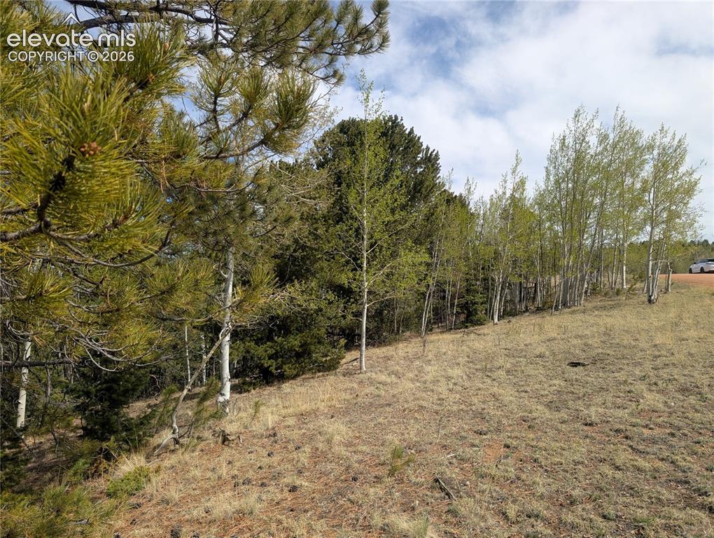 905 May Queen Drive Cripple Creek CO 80813
