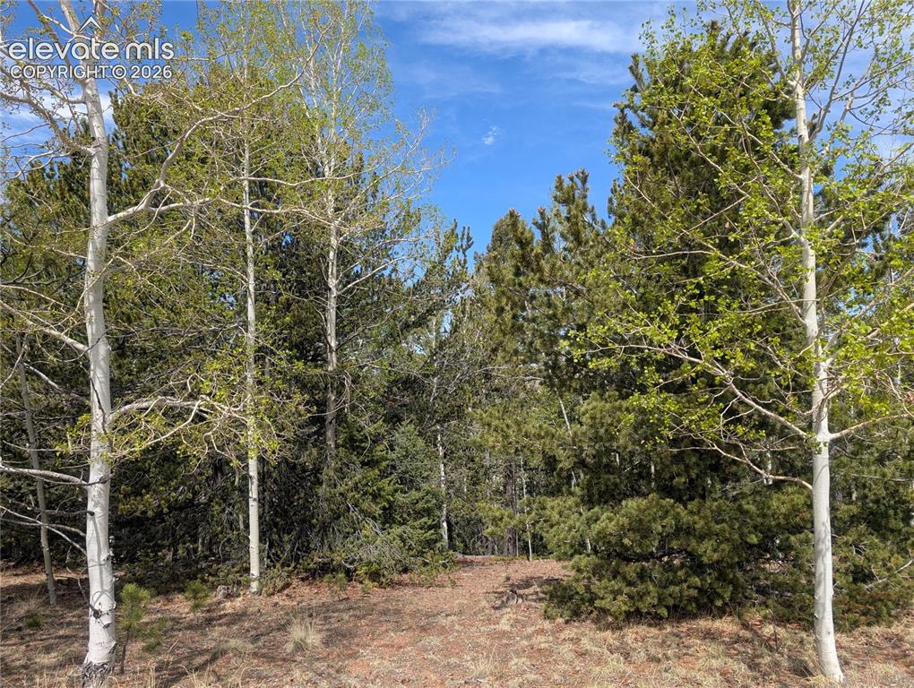 905 May Queen Drive Cripple Creek CO 80813