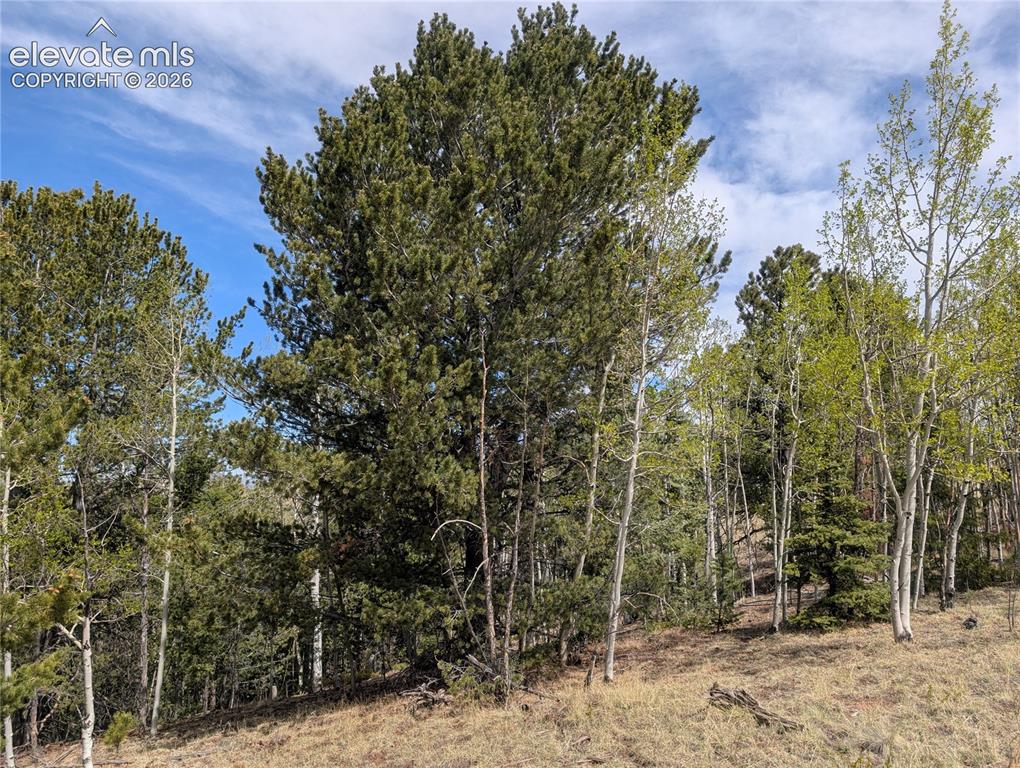 905 May Queen Drive Cripple Creek CO 80813