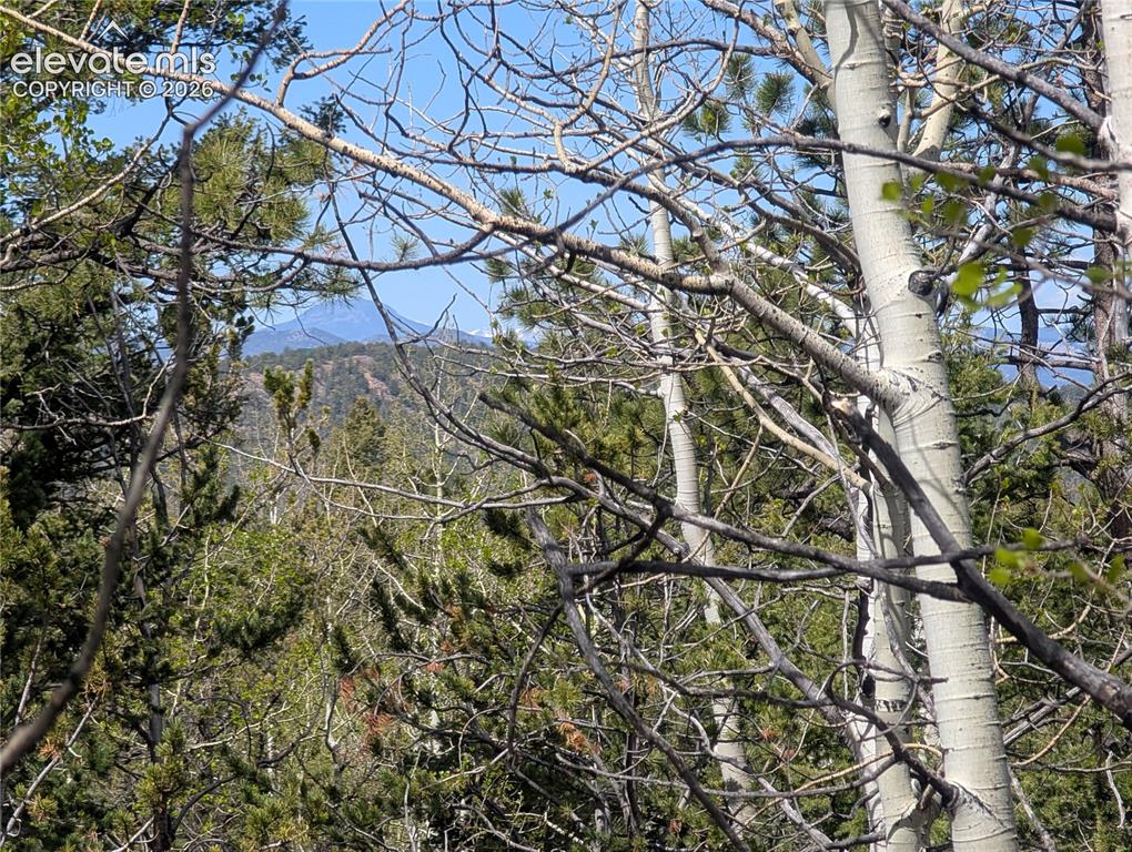 905 May Queen Drive Cripple Creek CO 80813