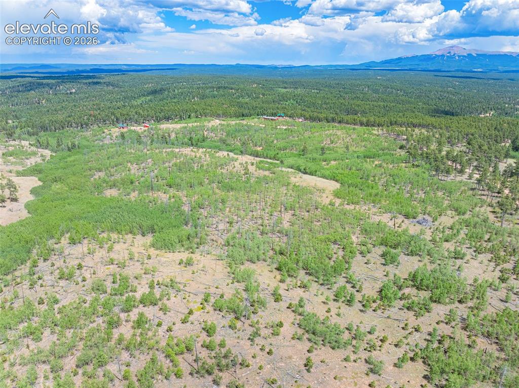 Unit 2 County Road 51 Florissant CO 80816