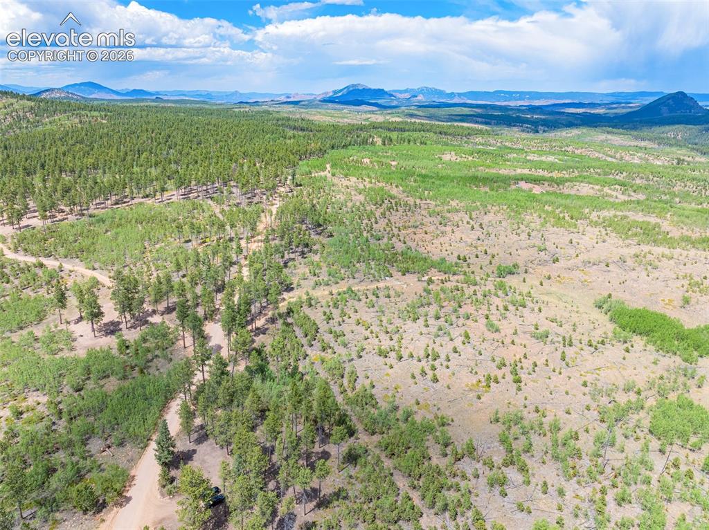 Unit 2 County Road 51 Florissant CO 80816