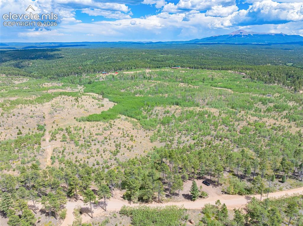 Unit 2 County Road 51 Florissant CO 80816