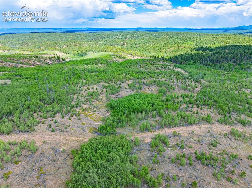 Unit 2 County Road 51 Florissant CO 80816