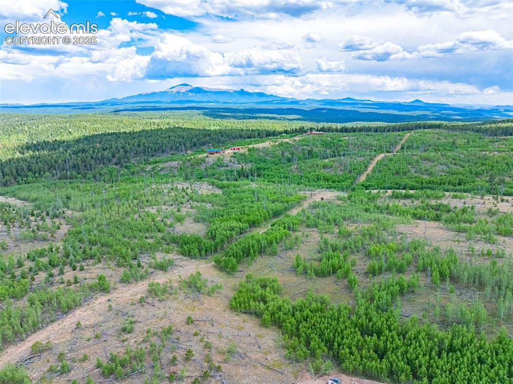 Unit 2 County Road 51 Florissant CO 80816