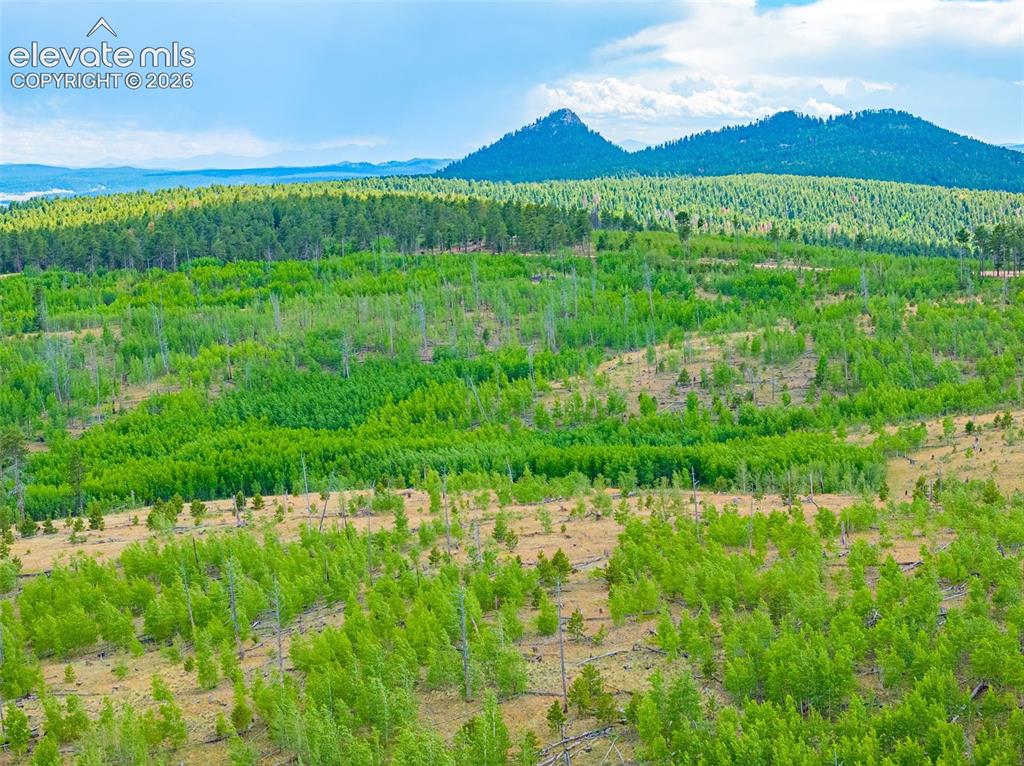 Unit 2 County Road 51 Florissant CO 80816