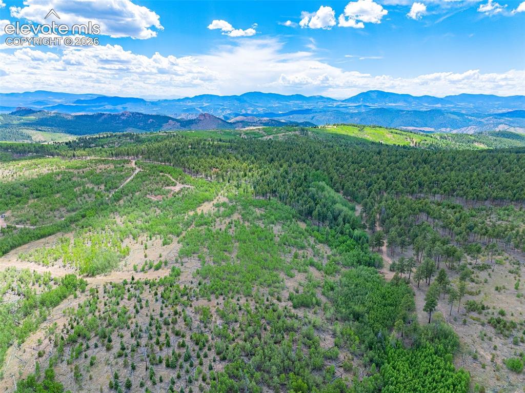 Unit 2 County Road 51 Florissant CO 80816