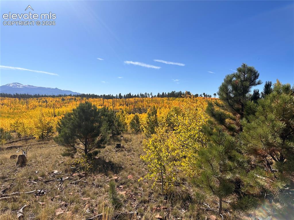 Unit 2 County Road 51 Florissant CO 80816