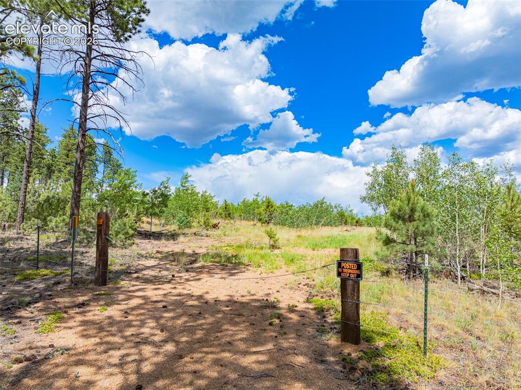 Unit 2 County Road 51 Florissant CO 80816