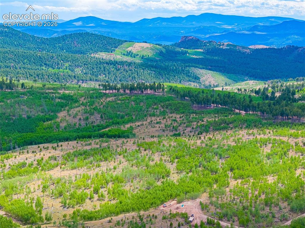Unit 2 County Road 51 Florissant CO 80816