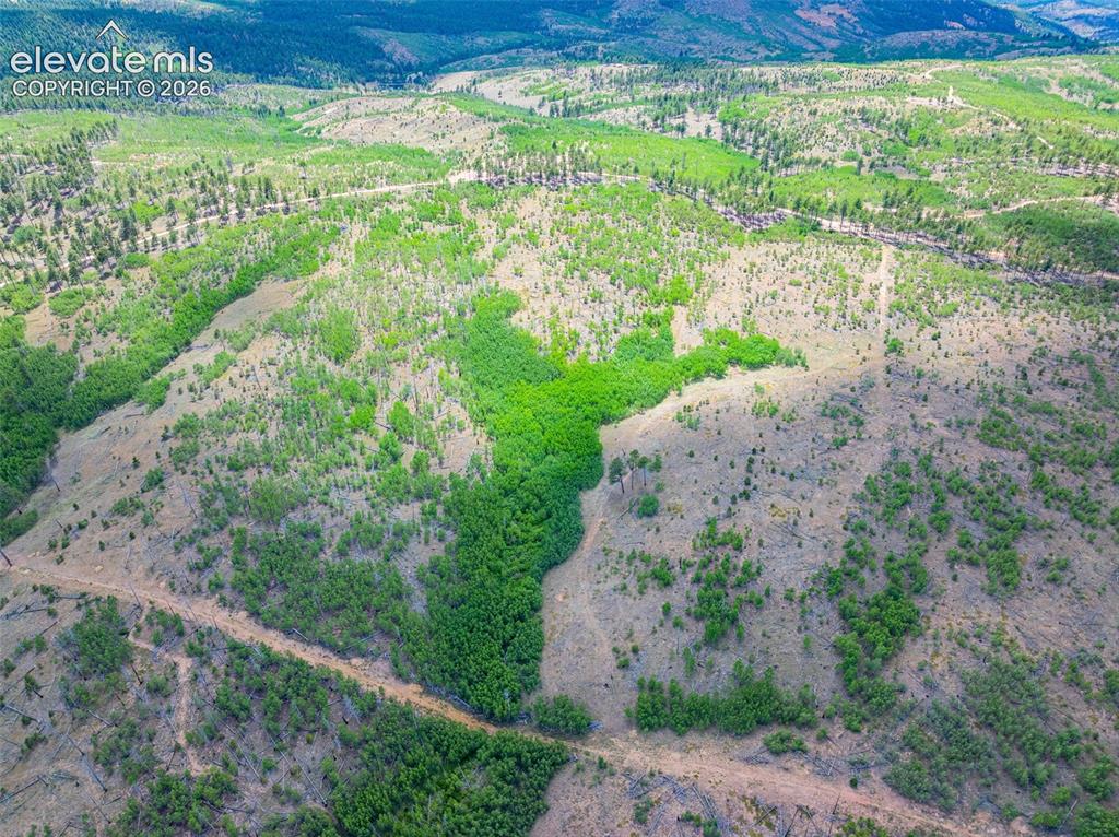 Unit 2 County Road 51 Florissant CO 80816