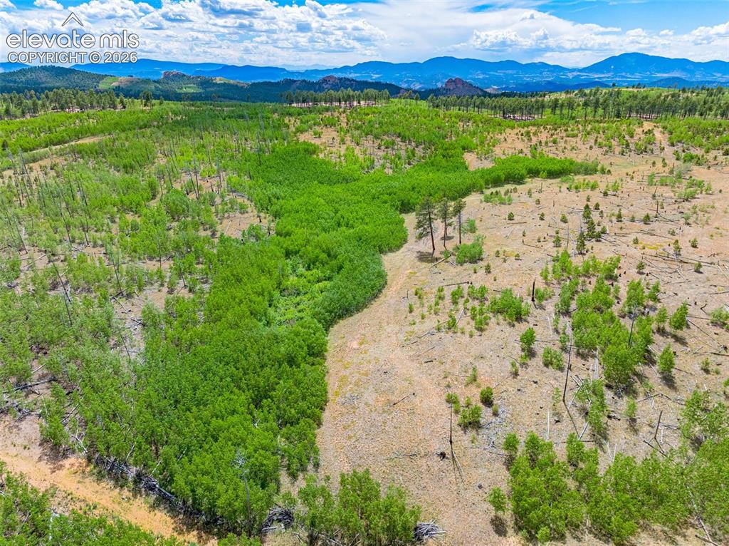 Unit 2 County Road 51 Florissant CO 80816