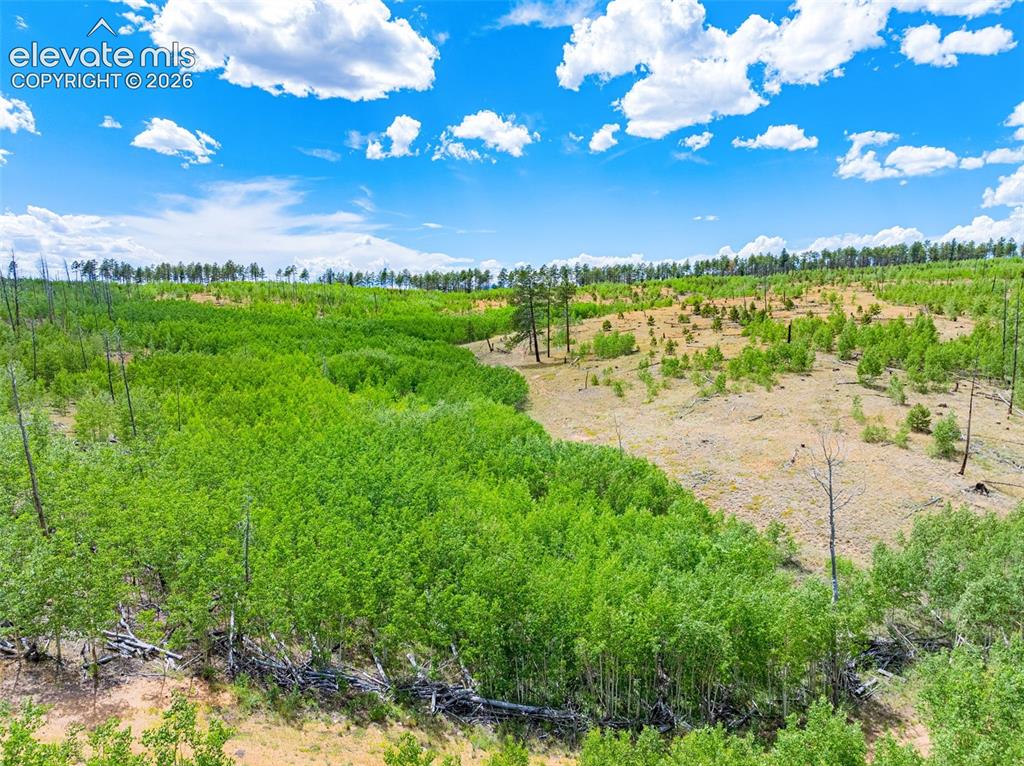 Unit 2 County Road 51 Florissant CO 80816