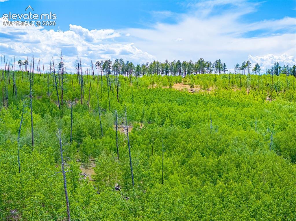 Unit 2 County Road 51 Florissant CO 80816