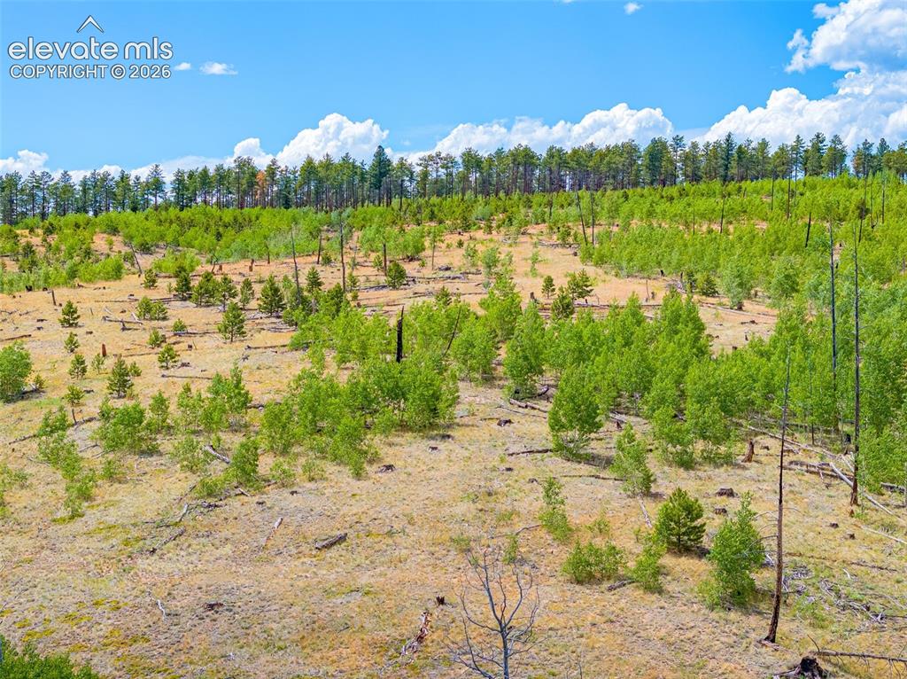 Unit 2 County Road 51 Florissant CO 80816