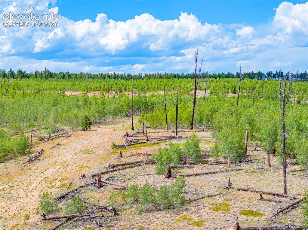Unit 2 County Road 51 Florissant CO 80816