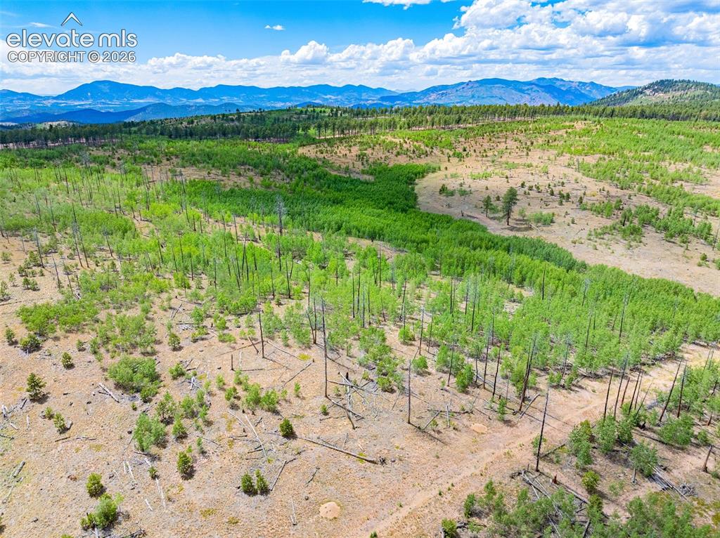 Unit 2 County Road 51 Florissant CO 80816