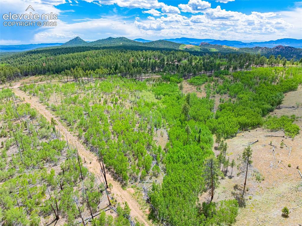 Unit 2 County Road 51 Florissant CO 80816