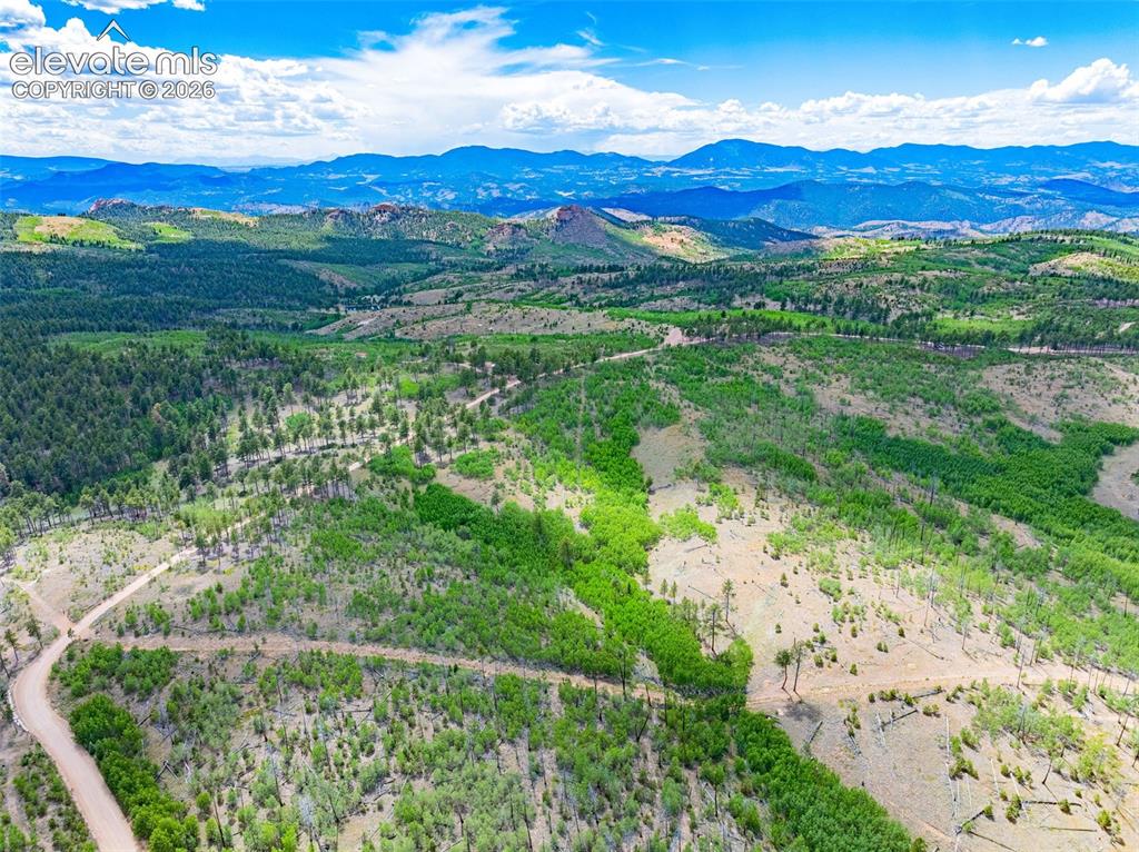 Unit 2 County Road 51 Florissant CO 80816