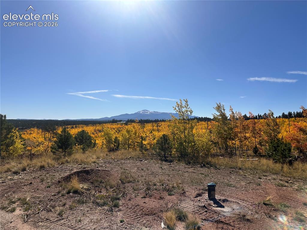 Unit 2 County Road 51 Florissant CO 80816