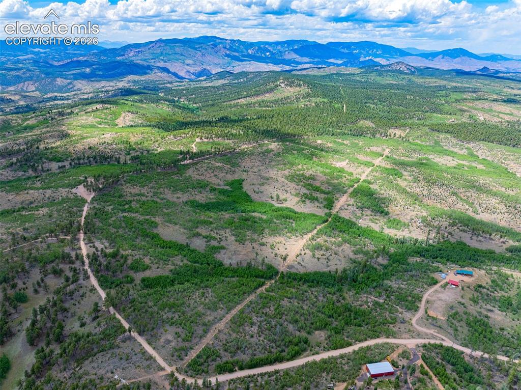 Unit 2 County Road 51 Florissant CO 80816