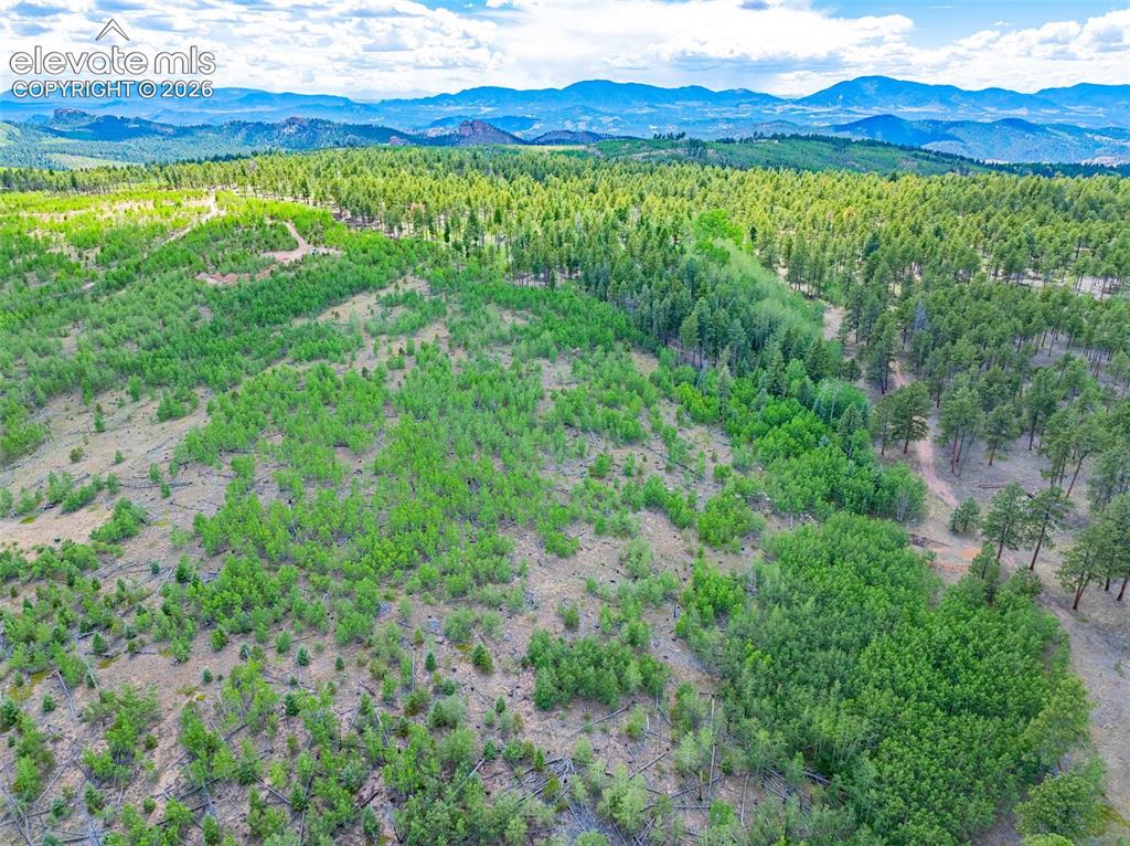 Unit 2 County Road 51 Florissant CO 80816