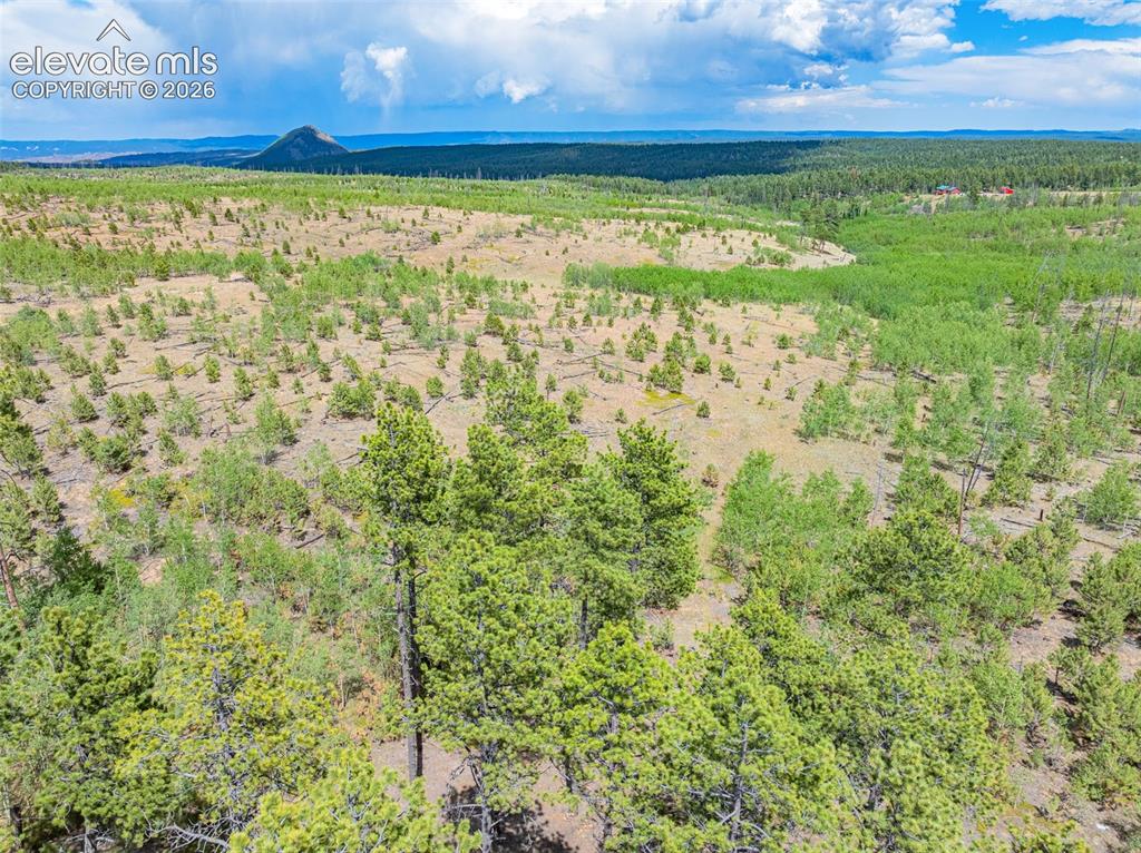 Unit 2 County Road 51 Florissant CO 80816