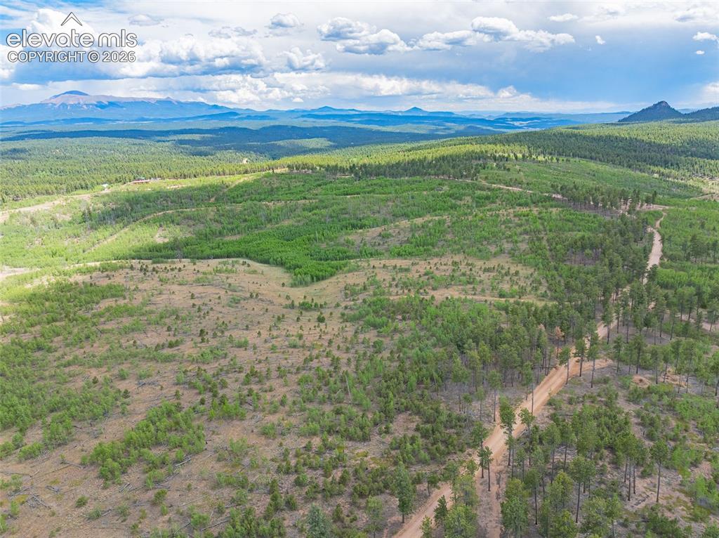 Unit 2 County Road 51 Florissant CO 80816