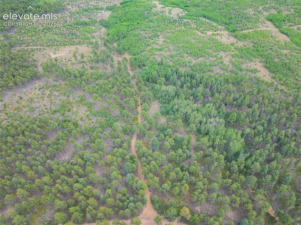 Unit 2 County Road 51 Florissant CO 80816