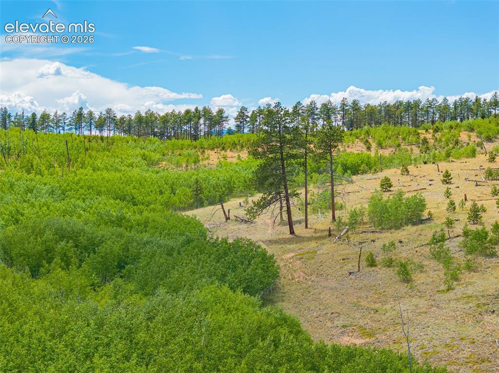 Unit 2 County Road 51 Florissant CO 80816