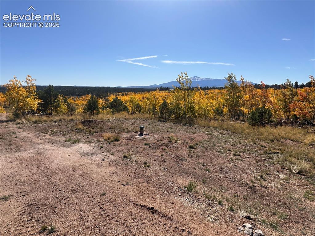 Unit 2 County Road 51 Florissant CO 80816
