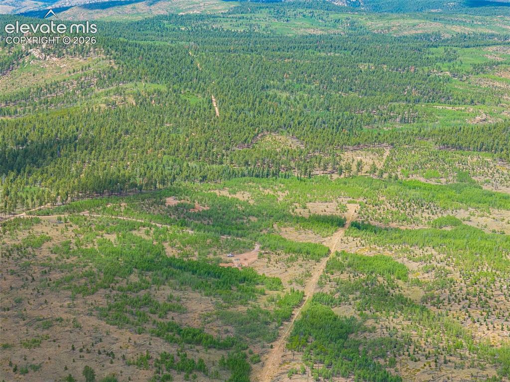 Unit 2 County Road 51 Florissant CO 80816