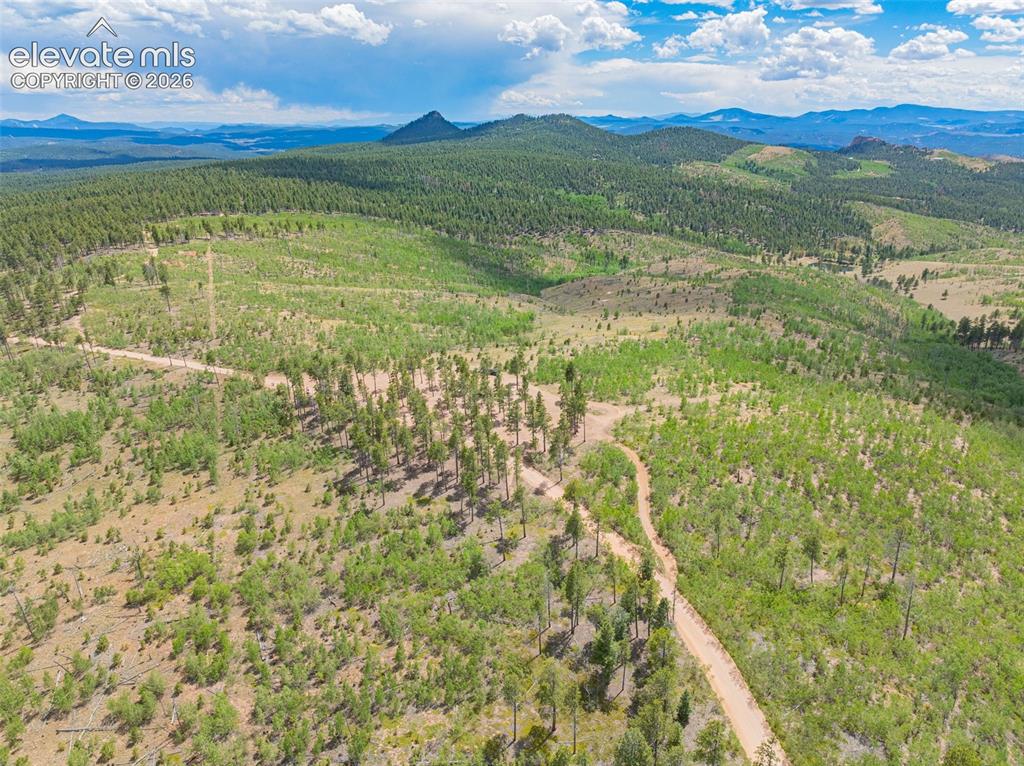 Unit 2 County Road 51 Florissant CO 80816