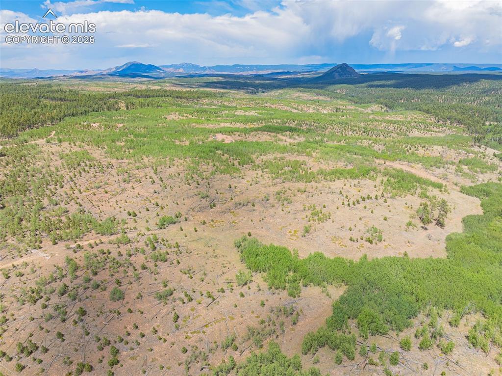Unit 2 County Road 51 Florissant CO 80816