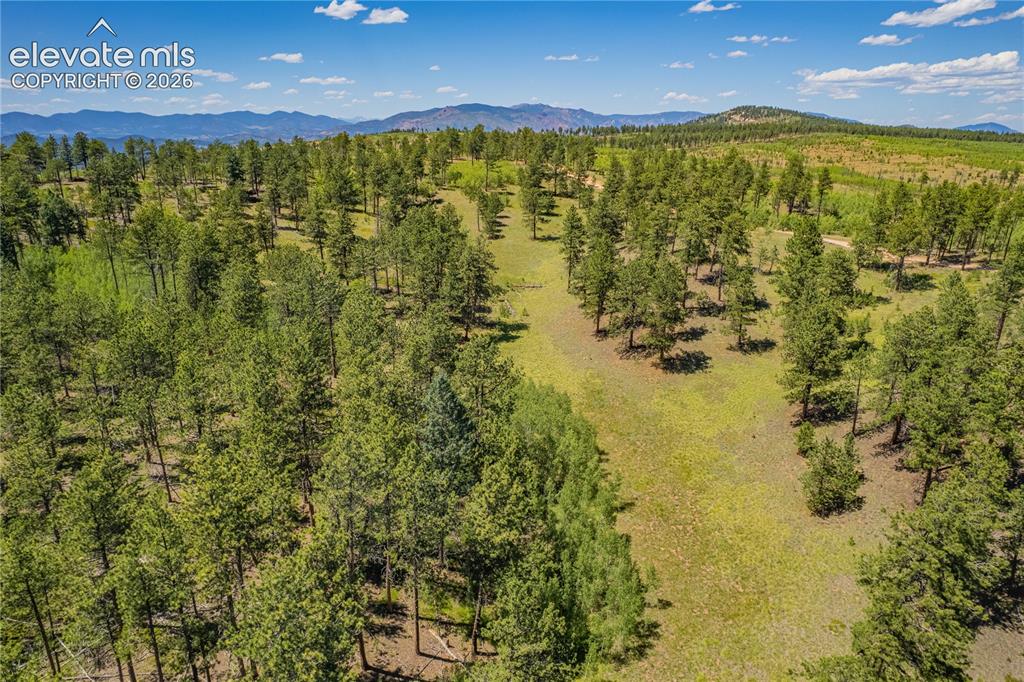 Unit 2 County Road 51 Florissant CO 80816